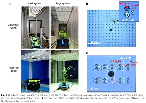 ../../../產(chǎn)品技術(shù)/熒光技術(shù)/PSI/Phenotyping/參考文獻/PlantScreen參考文獻/IPK-2017/0101－sm.jpg