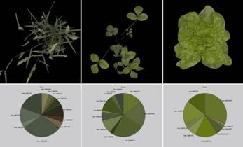 ../../../../產(chǎn)品技術(shù)/熒光技術(shù)/PSI/2016/PlantScreen/20160727/color-1.jpg