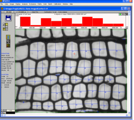 WinCELL木材細(xì)胞分析軟件